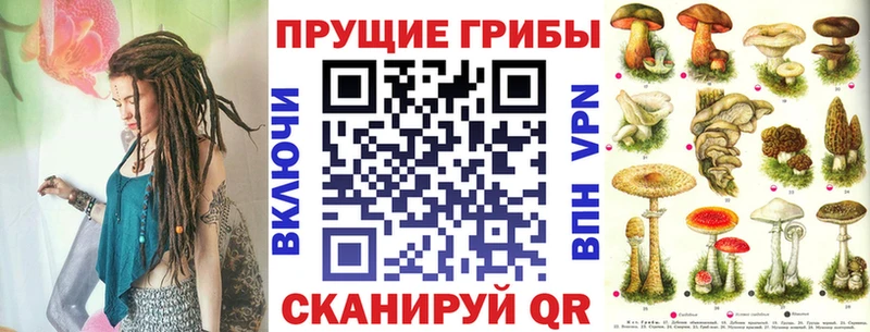 что такое наркотик  Тихвин  Галлюциногенные грибы Cubensis 